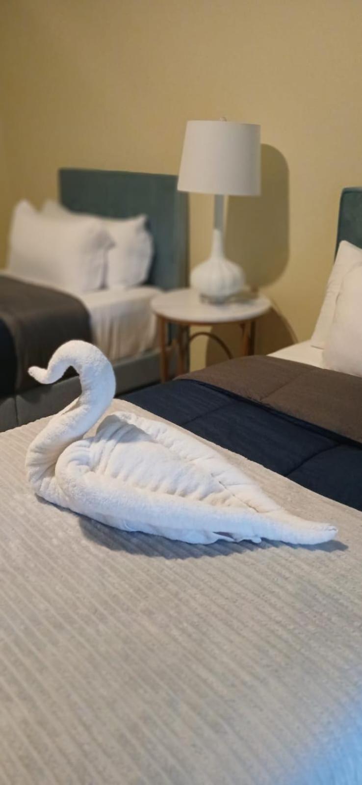 Sky'S Villa Resort Buff Bay Eksteriør billede